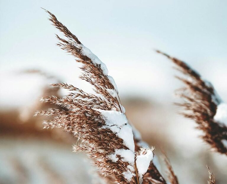 Rutinas De Invierno