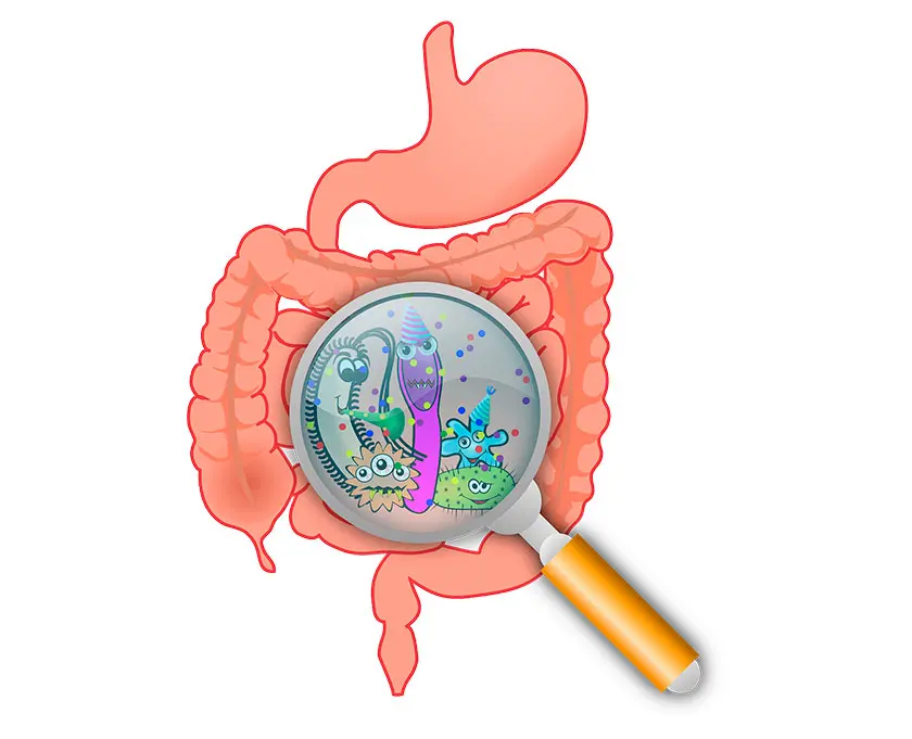 Consejos para una microbiota saludable